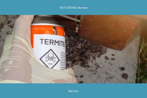 PEST CONTROL Marmora